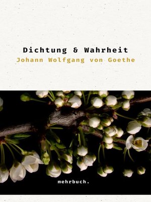 cover image of Dichtung und Wahrheit